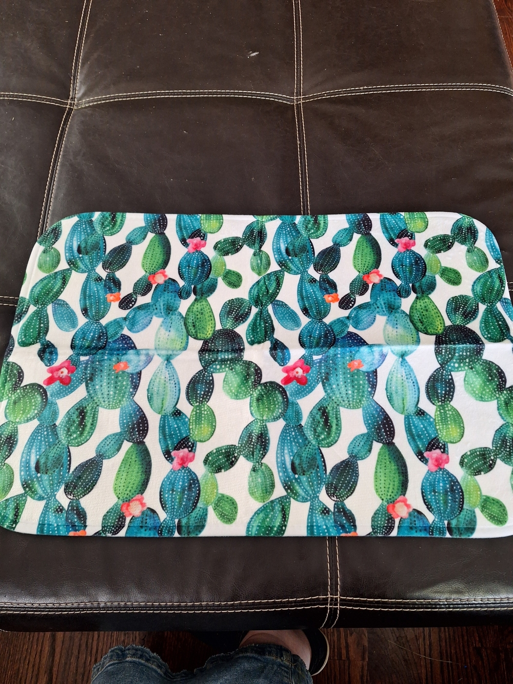 Cactus Print Indoor Mat - Green & Teal